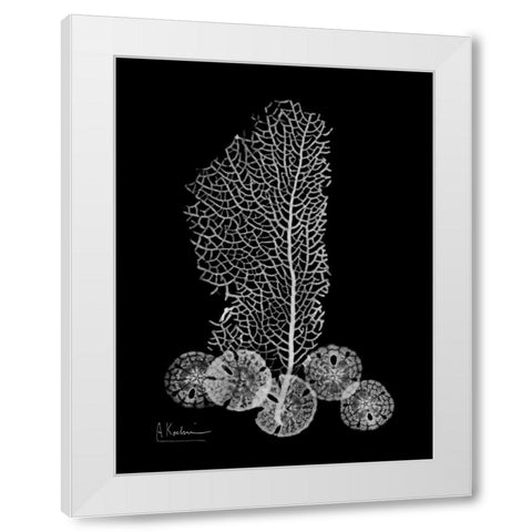 Sea Fan and Sand Dollar on Black White Modern Wood Framed Art Print by Koetsier, Albert