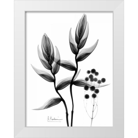 Heliconia Arrangement BandW White Modern Wood Framed Art Print by Koetsier, Albert