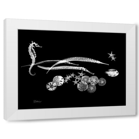 Horse Race White Modern Wood Framed Art Print by Koetsier, Albert