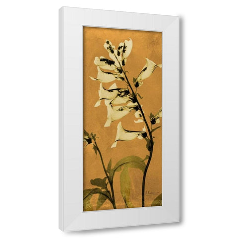 Golden Foxglove White Modern Wood Framed Art Print by Koetsier, Albert