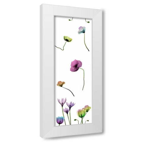 Floral Rainbow Pattern White Modern Wood Framed Art Print by Koetsier, Albert