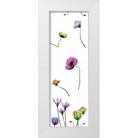 Floral Rainbow Pattern White Modern Wood Framed Art Print by Koetsier, Albert