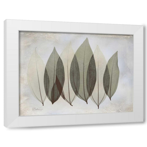 Coculus Leaf L348 White Modern Wood Framed Art Print by Koetsier, Albert