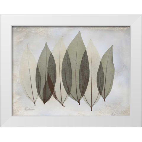 Coculus Leaf L348 White Modern Wood Framed Art Print by Koetsier, Albert