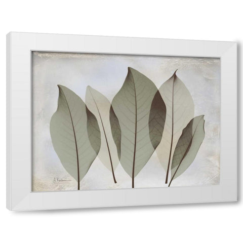 Magnolia Leaf White Modern Wood Framed Art Print by Koetsier, Albert