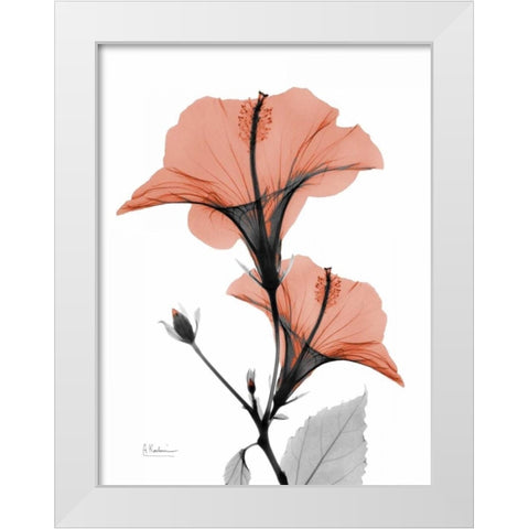 Soft Hibiscus White Modern Wood Framed Art Print by Koetsier, Albert