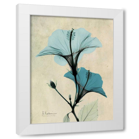 Hibiscus White Modern Wood Framed Art Print by Koetsier, Albert