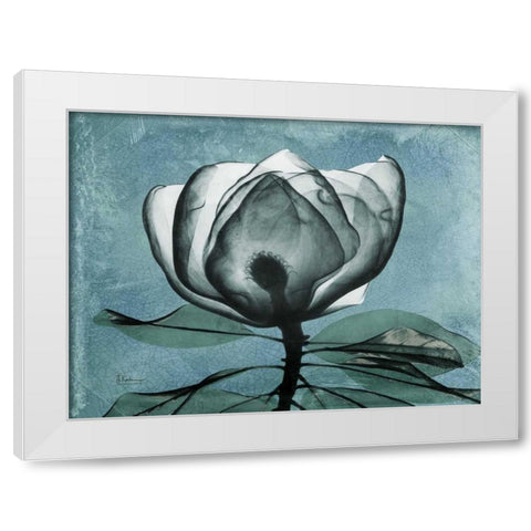 Magnolia Blues 2 White Modern Wood Framed Art Print by Koetsier, Albert