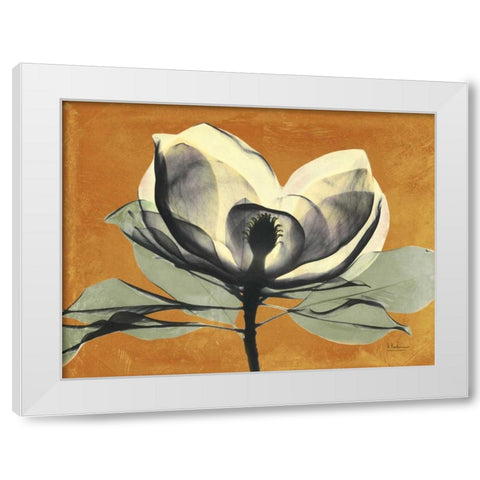 Warm Magnolia 1 White Modern Wood Framed Art Print by Koetsier, Albert