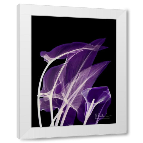 Purple Calla White Modern Wood Framed Art Print by Koetsier, Albert