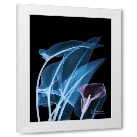 Blue Purple Calla White Modern Wood Framed Art Print by Koetsier, Albert