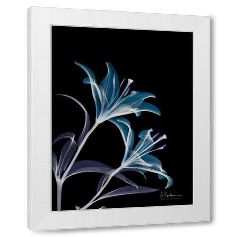Lily L145 White Modern Wood Framed Art Print by Koetsier, Albert