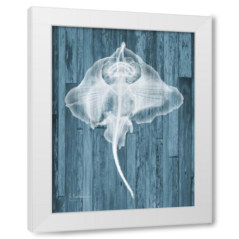 Skate Wood White Modern Wood Framed Art Print by Koetsier, Albert
