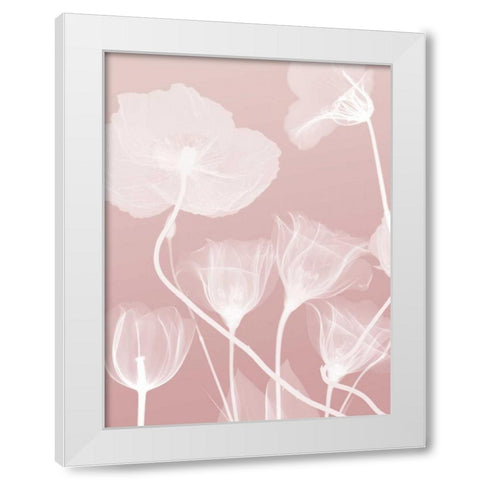 Pink Flora 1 White Modern Wood Framed Art Print by Koetsier, Albert