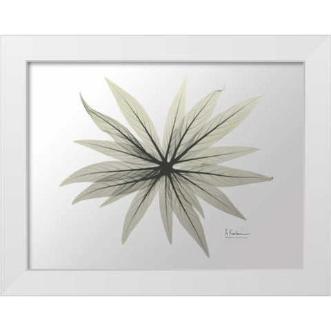 New Echium White Modern Wood Framed Art Print by Koetsier, Albert