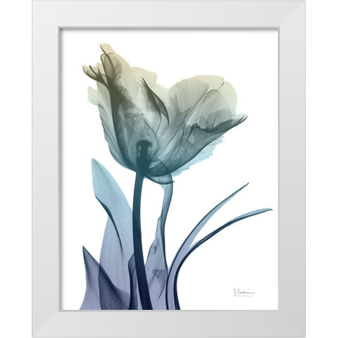 Ombre Expression 5 White Modern Wood Framed Art Print by Koetsier, Albert