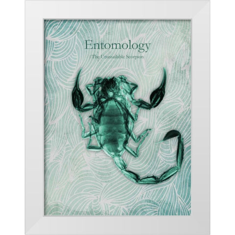Unassailable Scorpion White Modern Wood Framed Art Print by Koetsier, Albert