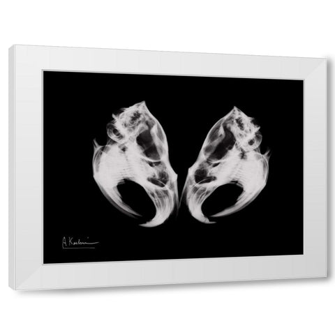 Ondatra Twins White Modern Wood Framed Art Print by Koetsier, Albert