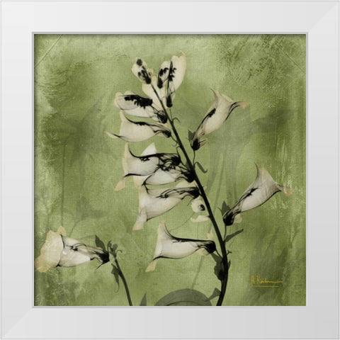 Golden Fox Glove White Modern Wood Framed Art Print by Koetsier, Albert