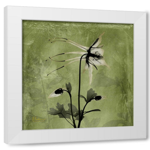 Columbine White Modern Wood Framed Art Print by Koetsier, Albert