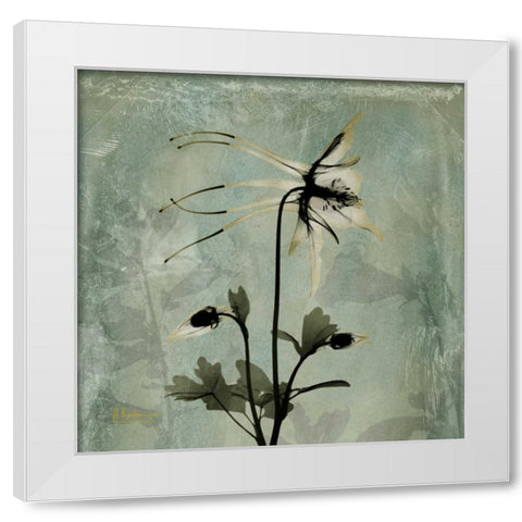 Columbine White Modern Wood Framed Art Print by Koetsier, Albert