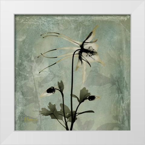 Columbine White Modern Wood Framed Art Print by Koetsier, Albert