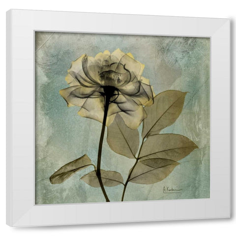 Rose White Modern Wood Framed Art Print by Koetsier, Albert