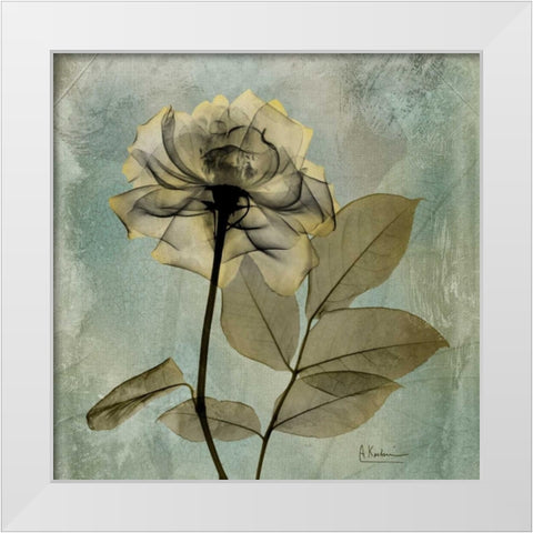 Rose White Modern Wood Framed Art Print by Koetsier, Albert