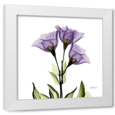 Gentian Purple L301 White Modern Wood Framed Art Print by Koetsier, Albert