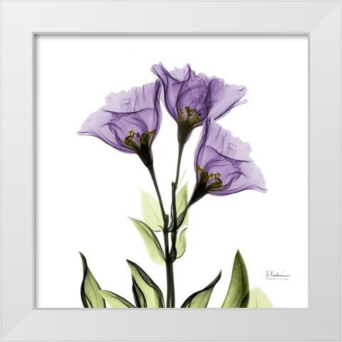 Gentian Purple L301 White Modern Wood Framed Art Print by Koetsier, Albert