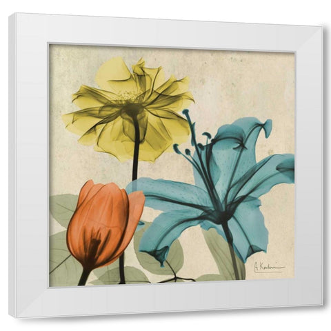 New Avalon VI White Modern Wood Framed Art Print by Koetsier, Albert