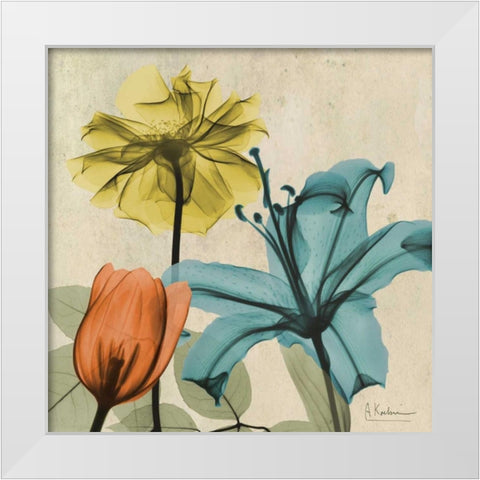 New Avalon VI White Modern Wood Framed Art Print by Koetsier, Albert