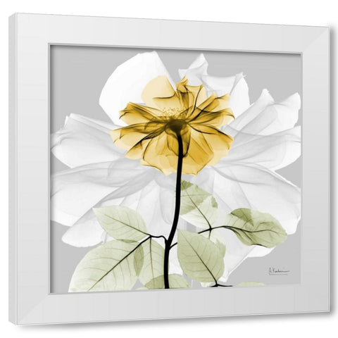 Rose in Gold 2 White Modern Wood Framed Art Print by Koetsier, Albert