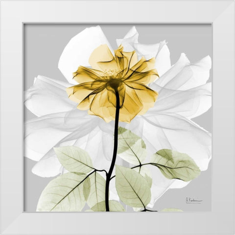 Rose in Gold 2 White Modern Wood Framed Art Print by Koetsier, Albert