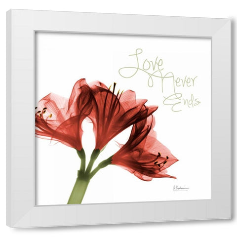 Amaryllis Love White Modern Wood Framed Art Print by Koetsier, Albert