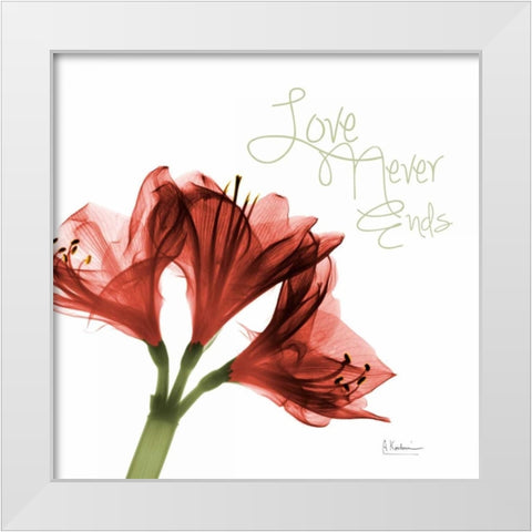 Amaryllis Love White Modern Wood Framed Art Print by Koetsier, Albert