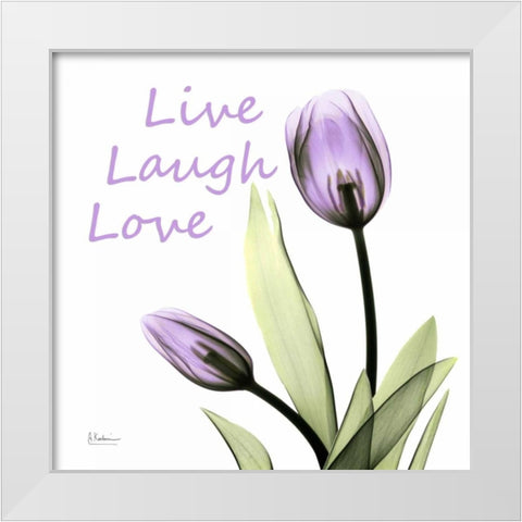 LLL C64 White Modern Wood Framed Art Print by Koetsier, Albert