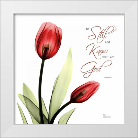 Be Still Tulip C64 White Modern Wood Framed Art Print by Koetsier, Albert