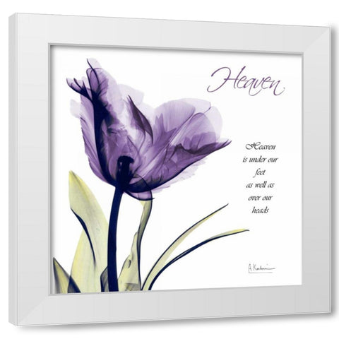 Tulip Heaven White Modern Wood Framed Art Print by Koetsier, Albert