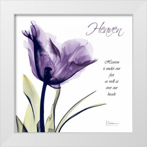 Tulip Heaven White Modern Wood Framed Art Print by Koetsier, Albert