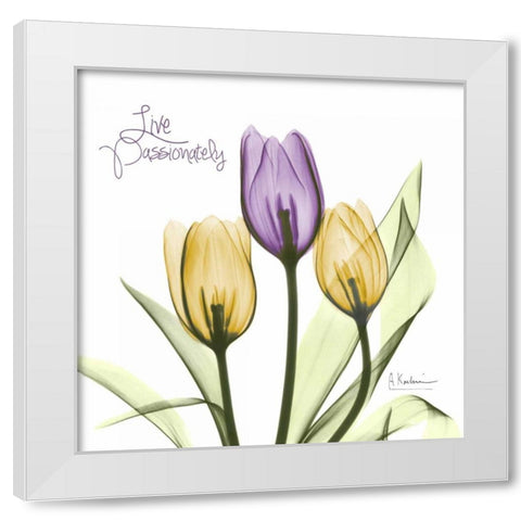 Live Passionately Tulips White Modern Wood Framed Art Print by Koetsier, Albert
