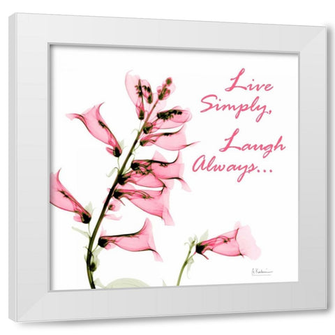 Live and Laugh Foxglove White Modern Wood Framed Art Print by Koetsier, Albert