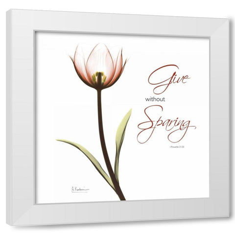 Giving Tulip C69 White Modern Wood Framed Art Print by Koetsier, Albert