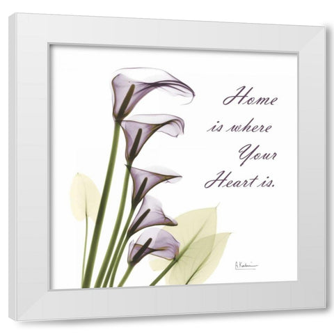 Calla Lilies Home White Modern Wood Framed Art Print by Koetsier, Albert