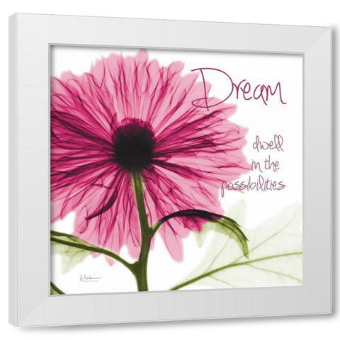 Pink Chrysanthemum Dream White Modern Wood Framed Art Print by Koetsier, Albert