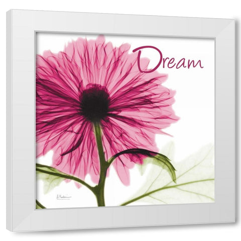 Pink Chrysanthemum Dream White Modern Wood Framed Art Print by Koetsier, Albert