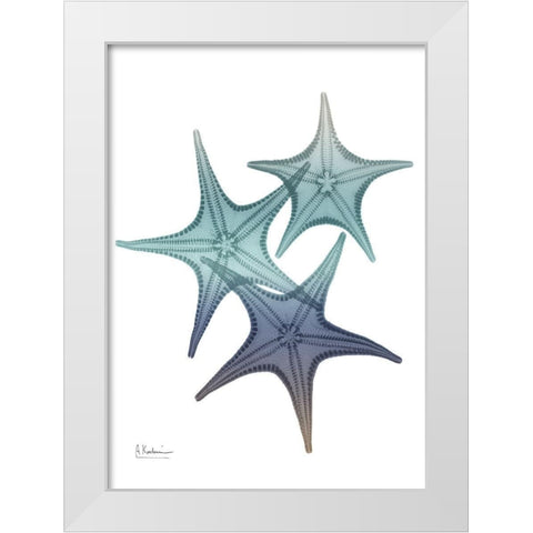 Starfish Ombre 2 White Modern Wood Framed Art Print by Koetsier, Albert