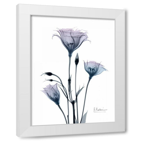 Midnight Gentian 2 White Modern Wood Framed Art Print by Koetsier, Albert