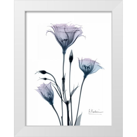 Midnight Gentian 2 White Modern Wood Framed Art Print by Koetsier, Albert