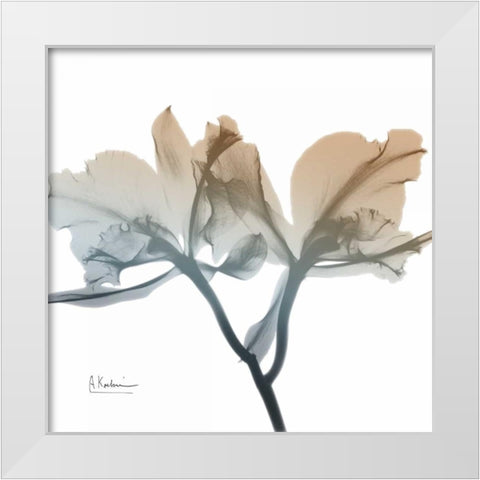Earthy Orchid White Modern Wood Framed Art Print by Koetsier, Albert